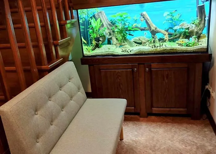 U Lubockich * ريوا